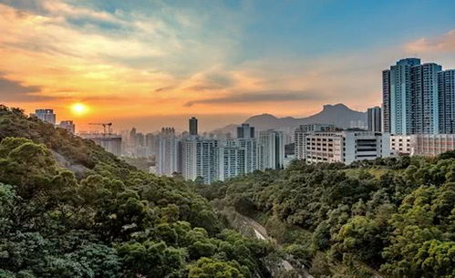 深圳一季度GDP同比下降6.6%，但房地產(chǎn)開發(fā)投資逆勢增長2.1%